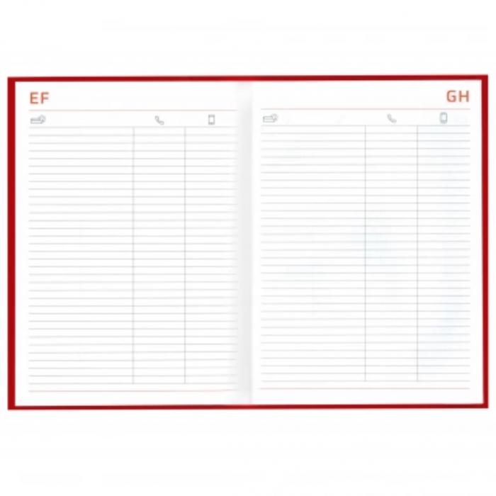 Agendă personalizată - Pentru profesor [7]