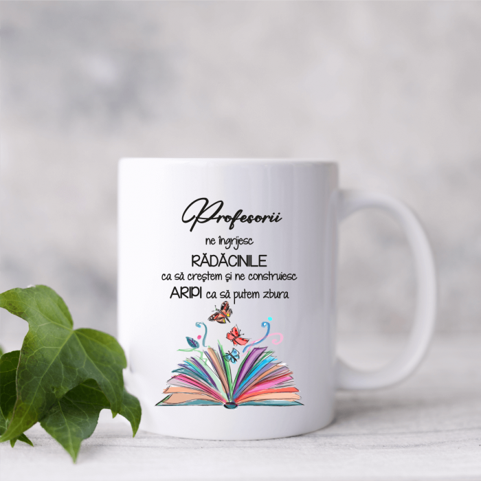 Cană personalizată - Pentru profesor - M3 [1]