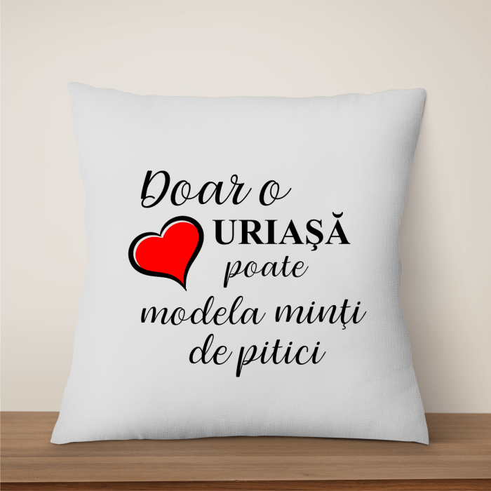 Pernă personalizată pentru cadru didactic [1]