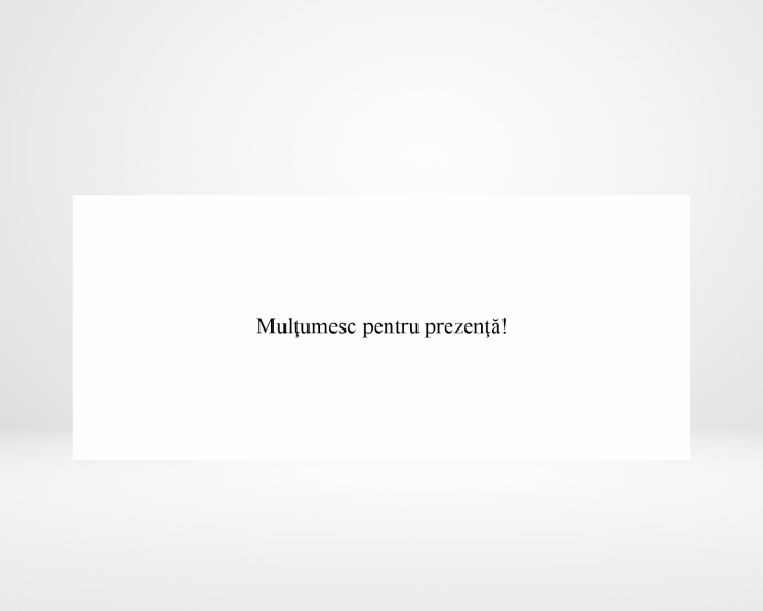 Plic de bani pentru botez - Micul Prinț [2]