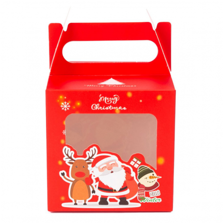 Ambalaje decorative - Cutie căni 3D Merry Christmas