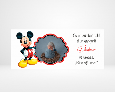 Plicuri de bani băieți - Plic de bani pentru botez - Mickey - Poză