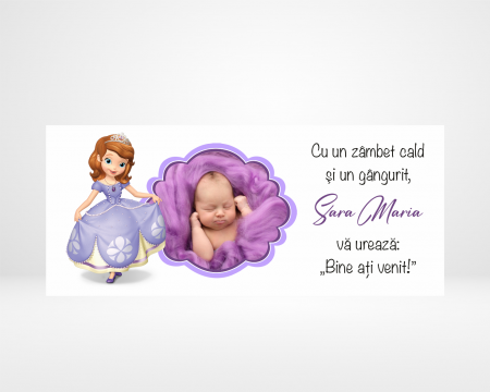 Plicuri de bani - Plic de bani pentru botez - Prințesa Sofia - Poză