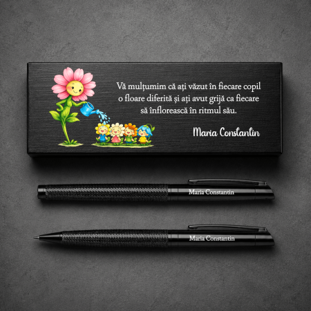 Seturi premium cutie și pix - Set premium pix și creion metalic personalizat în cutie - Pentru Educatoare - M6