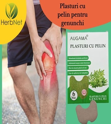 plasturi pelin