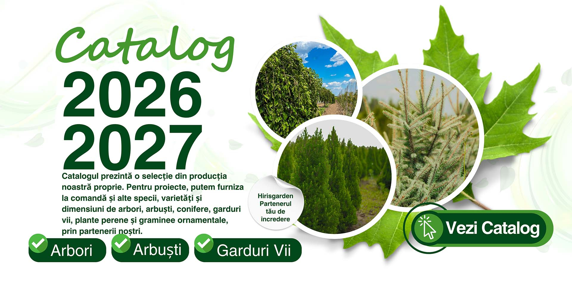 Catalog