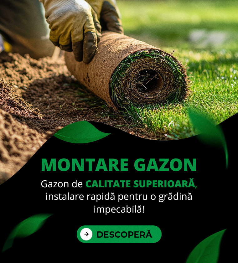 Gazon de calitate, montaj rapid pentru o grădină perfectă!