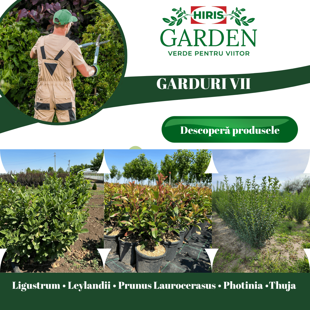 Gazon de calitate, montaj rapid pentru o grădină perfectă!