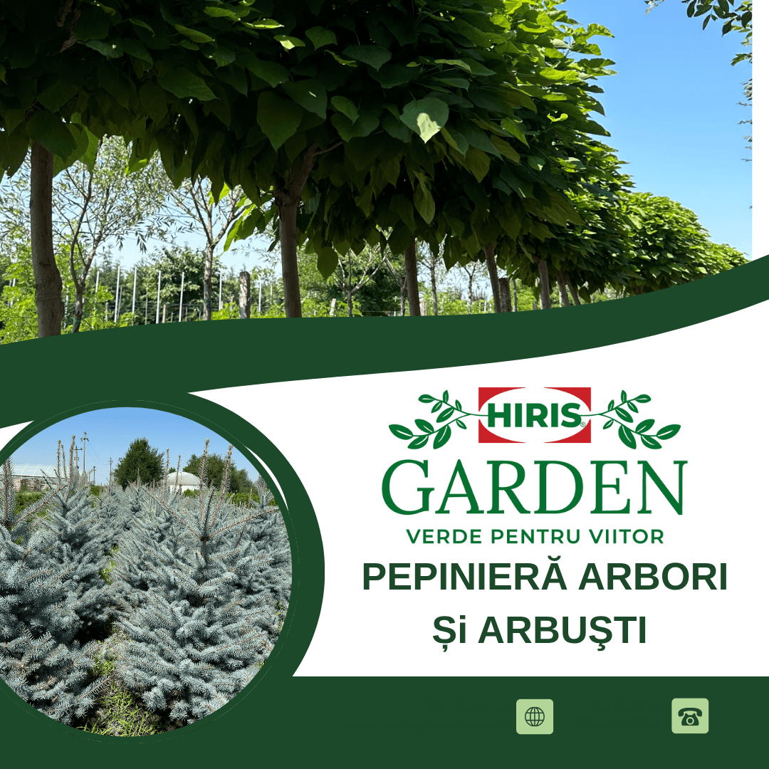 Produse - Arbori si arbusti aclimatizati pentru gradina ta!