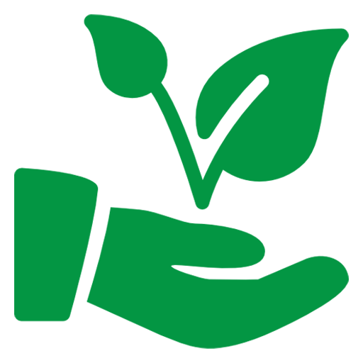 Plantare & ingrijire