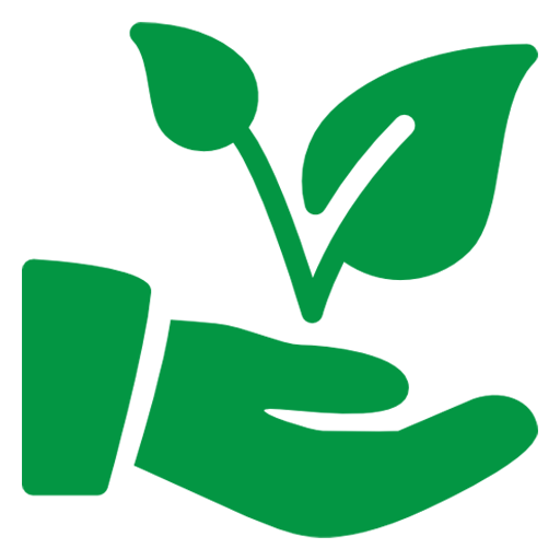 Plantare & ingrijire