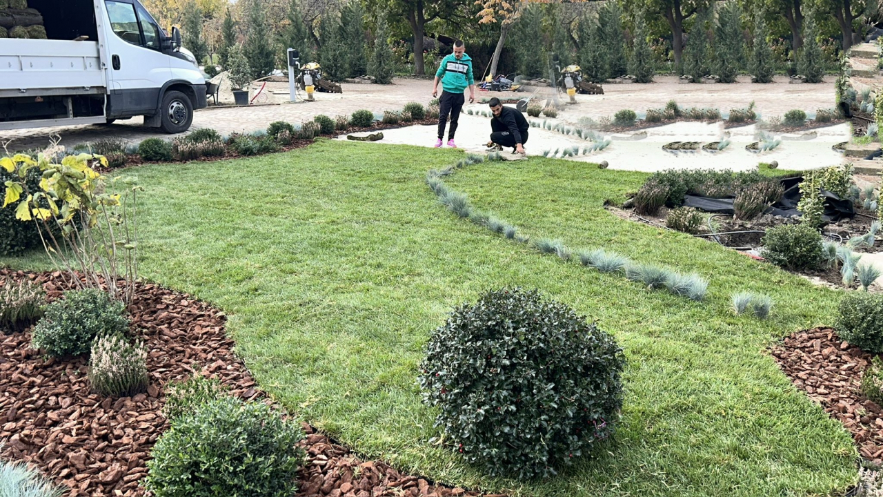 Servicii Gazonare (rulouri sau insamantare) [6]