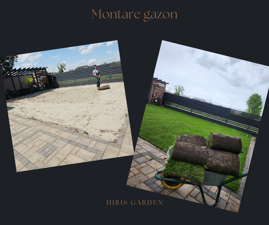 Servicii Gazonare (rulouri sau insamantare) [7]