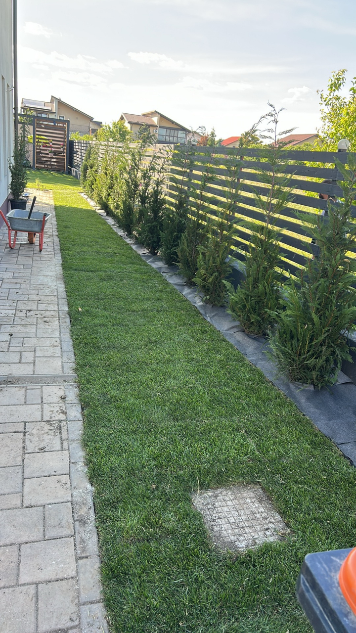 Servicii Gazonare (rulouri sau insamantare) [10]