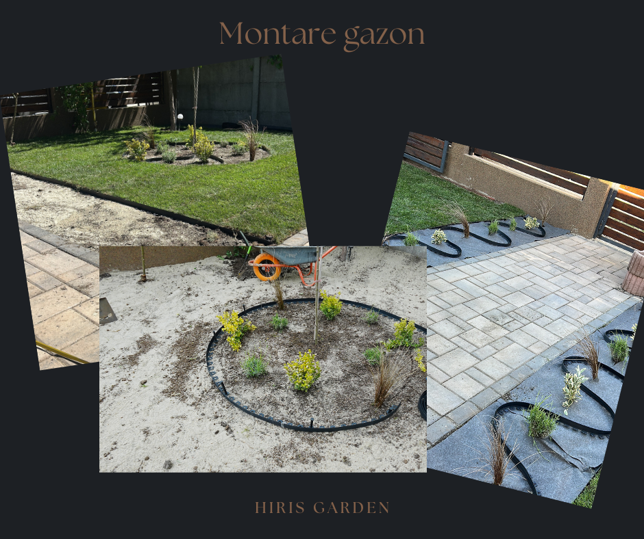 Servicii Gazonare (rulouri sau insamantare) [9]