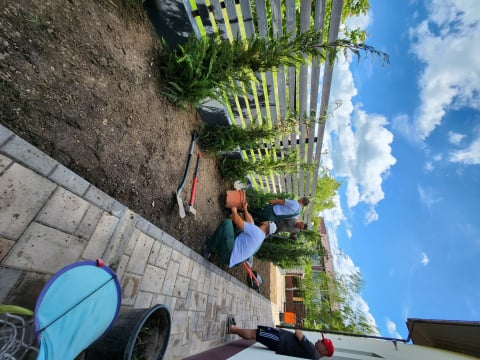 Servicii profesionale de plantare [12]