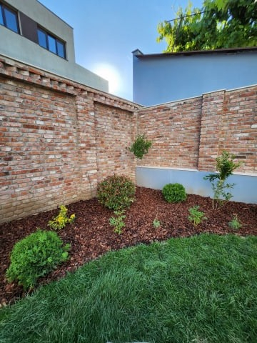 Servicii profesionale de plantare [14]