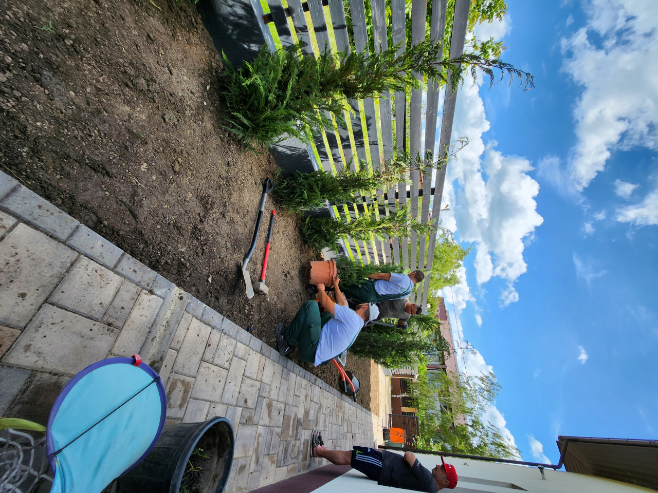 Servicii profesionale de plantare [7]