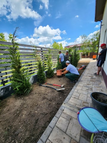 Servicii profesionale de plantare [13]