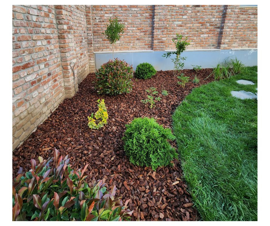 Servicii Profesionale de Peisagistică – Gazonare, Plantare și Amenajări Grădini [10]