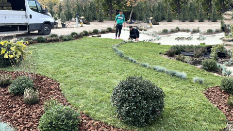 Servicii Gazonare (rulouri sau insamantare) [5]