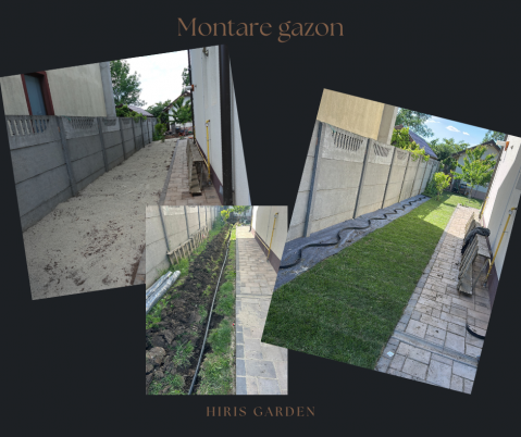 Servicii Gazonare (rulouri sau insamantare) [7]
