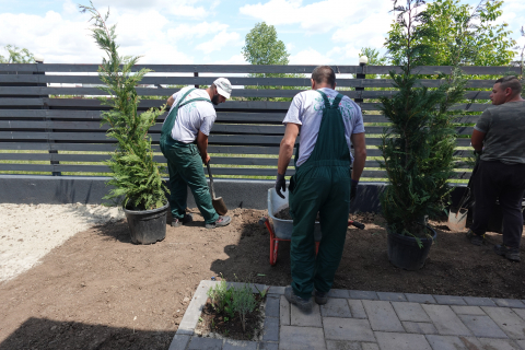 Servicii profesionale de plantare [10]