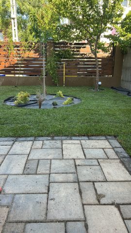 Servicii Profesionale de Peisagistică – Gazonare, Plantare și Amenajări Grădini [6]