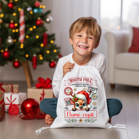 CADOURI CRACIUN - Sacul lui Mos Craciun