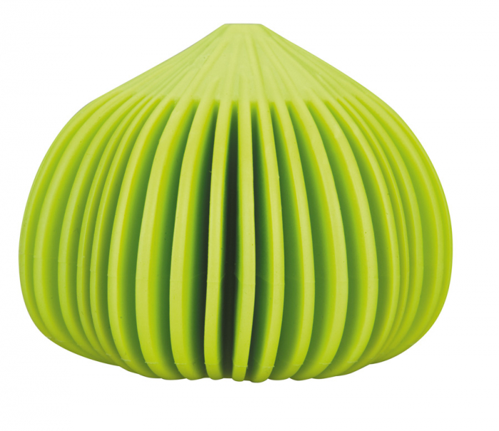 Curatator de usturoi Ibili, silicon, 5x7 cm, verde [1]