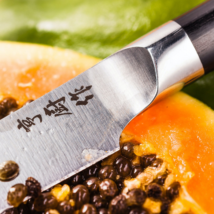 Stellar-Taiku universal knife, X50CrMoV14 steel, 24x6x3 cm, silver/black [2]