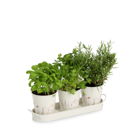 Set  ghivece pentru plante Zeller, 4 bucati, 37x10x11cm, metal, alb [1]