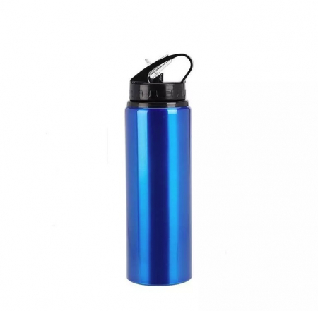 Sticle apa - Sticla apa Excellent Houseware, aluminiu, 7x25 cm, 750 ml, albastru
