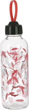 Sticla apa Excellent Houseware, sticla, 6.5x21 cm, 450 ml, rosu [1]