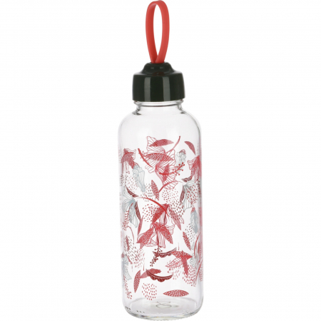 Accesorii Bauturi - Sticla apa Excellent Houseware, sticla, 6.5x21 cm, 450 ml, rosu