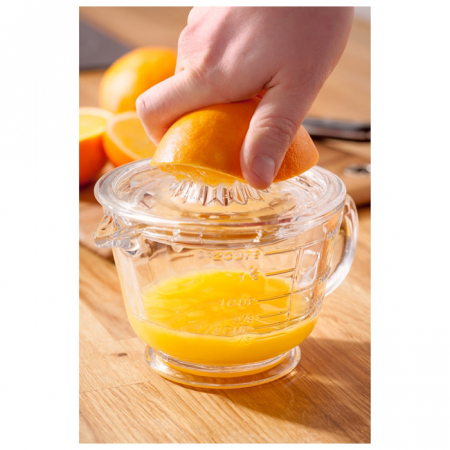 Storcator manual citrice Judge, sticla borosilicata, 17x13x14.5 cm, transparent [2]