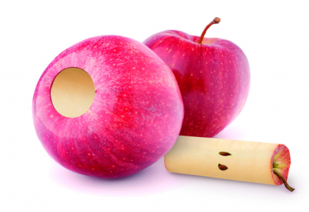 Ibili-Blondas apple corer, 19.5x2.8 cm, silver [1]