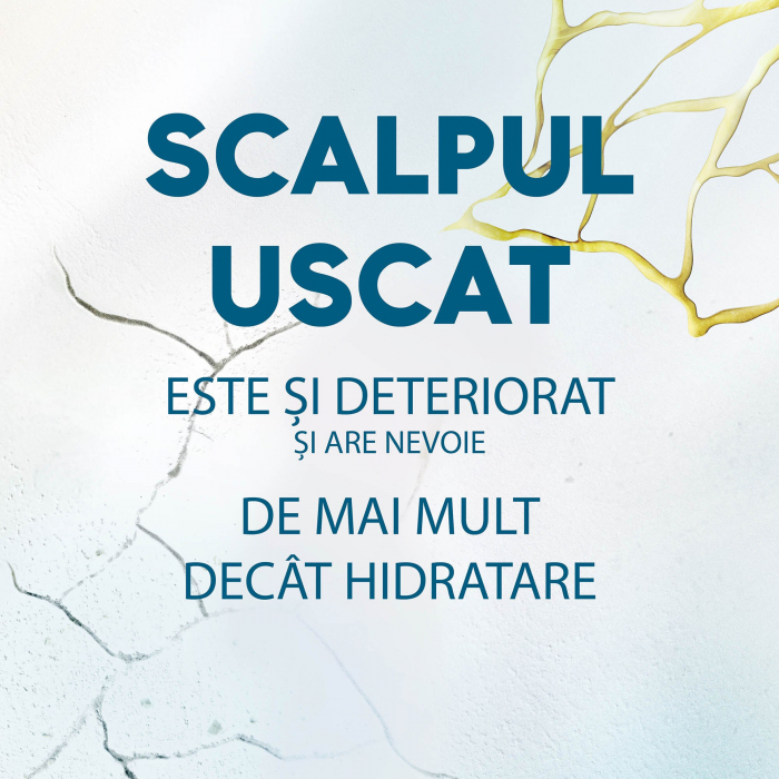 Head & Shoulders Tratament anti-matreata pentru scalp, 145 ml, Derma X Pro, cu acid hialuronic [2]