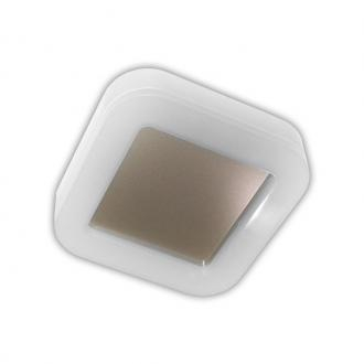Aplice & Plafoniere - Plafoniera cu LED patrata si oglinda din inox IP65