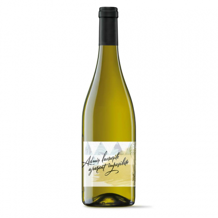 Sec - Minis Terrios Sauvignon Blanc