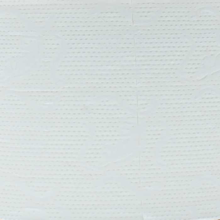 Rola Hartie Igienica Mini Jumbo, 2 Straturi, 100% Celuloza [3]