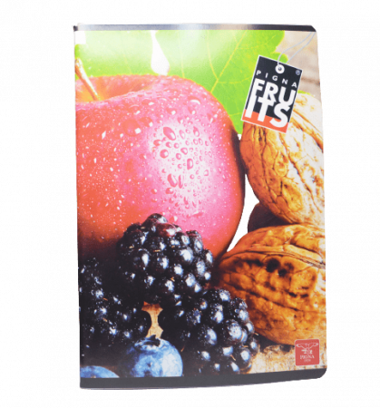 Caiet A4 60 file [1]