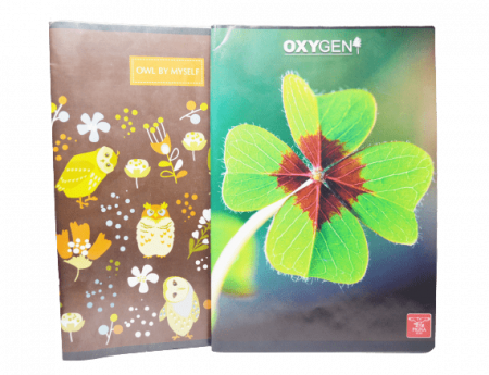 Caiet A4 60 file [2]