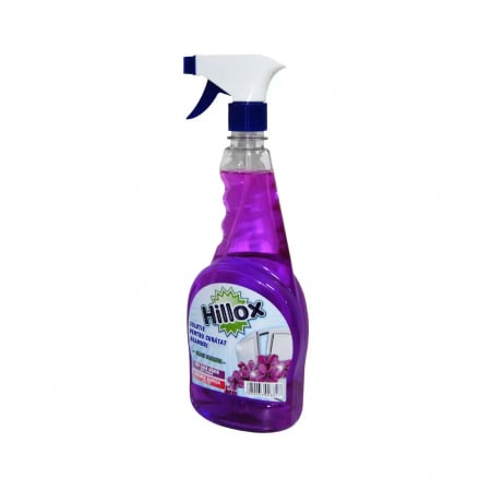 Detergenti - Detergent Geam cu Pulverizator, Economic, 750ml