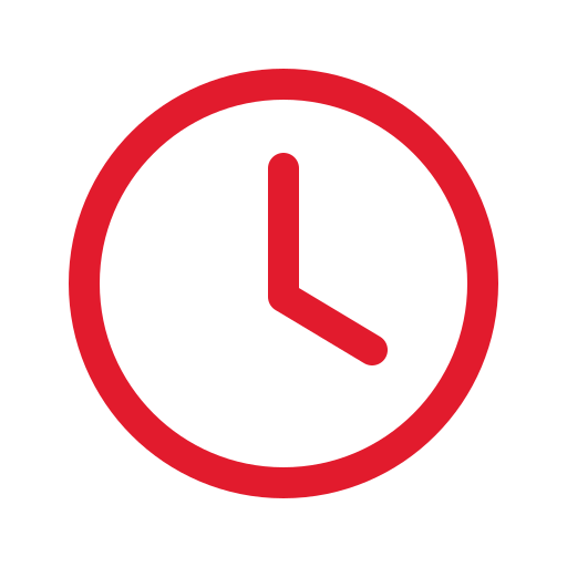 Expediere în 24-48h