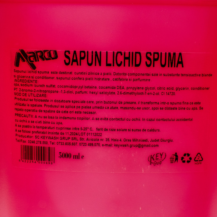 Sapun Spuma Profesional, canistra 5L [4]