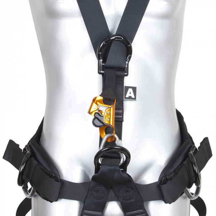ASCENDER SET [2]