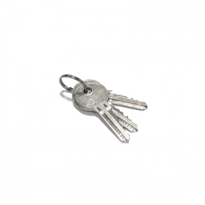 Cutie Motorline CSV100 securizata pentru automatizare comanda deschidere/inchidere [4]