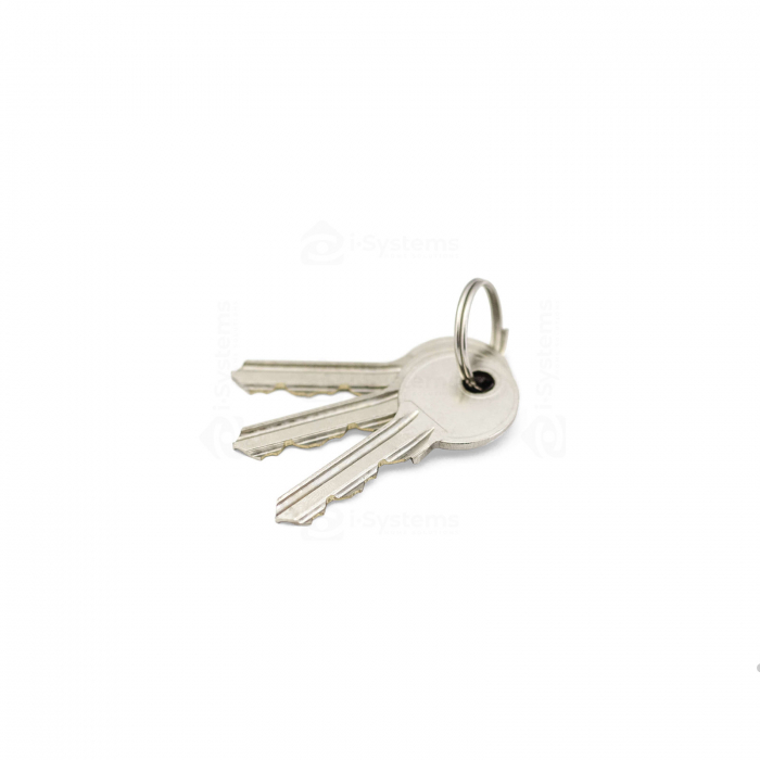 Selector cu chei Motorline SCMV150, porti, rulouri, 250 V, cu revenire, metal antivandal [4]