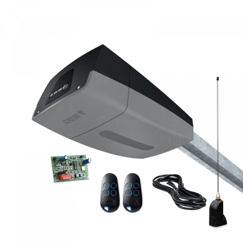 Kit-uri Usi Garaj - Kit automatizare usa de garaj Came VER13DMS 8K01MV-012, 18 m², 1300N, 24V DC